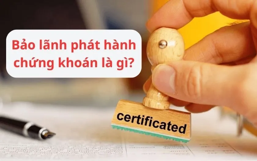 Bảo Lãnh Phát Hành Chứng Khoán: Con Đường Tất Yếu Cho Các Doanh Nghiệp Việt