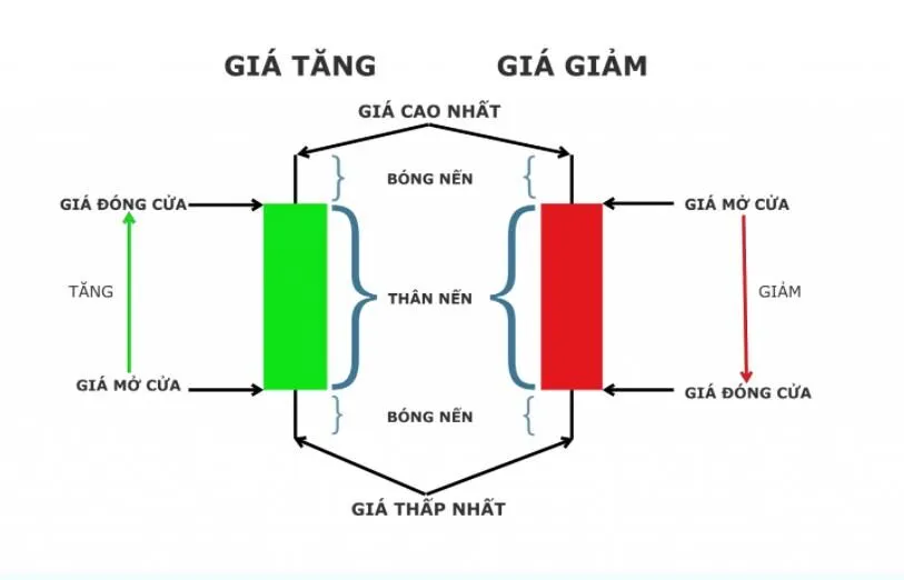 Khám phá các loại nến trong chứng khoán: Bí mật sau những biến động giá