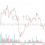Mã chứng khoán IDI: Cơ hội vàng cho nhà đầu tư thông minh