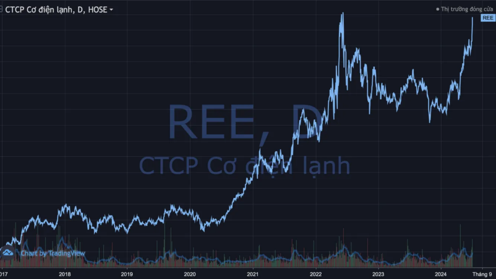 Đầu tư vào cổ phiếu REE: Thời điểm vàng cho nhà đầu tư chứng khoán