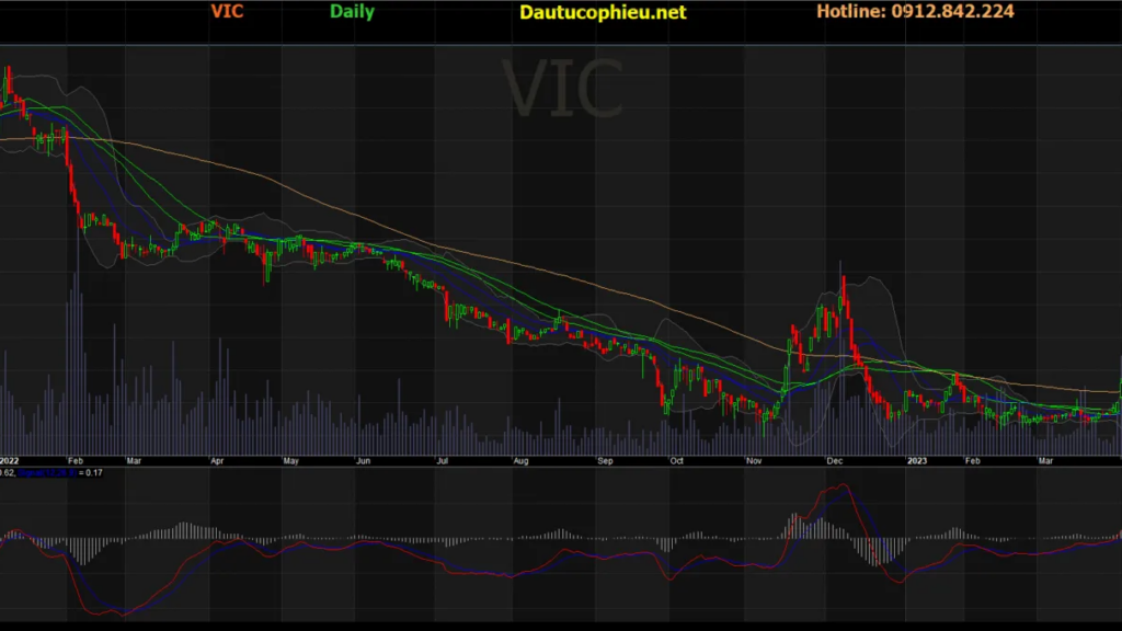 Chứng khoán VIC: Bước ngoặt đáng chú ý trên thị trường tài chính Việt Nam